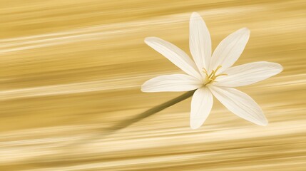 Elegant White Flower on Abstract Golden Lines Background
