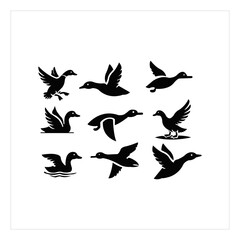 A collection of stylized black silhouettes of ducks and swans in various poses, including flying, landing, and swimming.