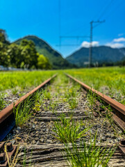 Bahn