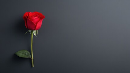 Obraz premium Single Red Rose on Dark Background with Green Leaf for Romantic and Floral Themes in Photography and Design