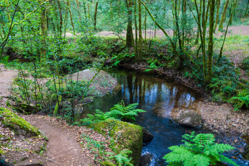 Obraz premium photographs seascapes of Galicia marine nature