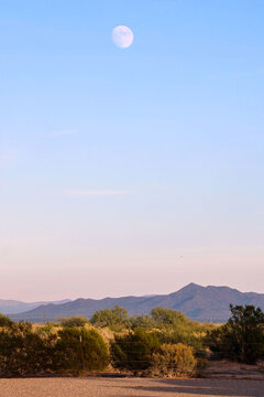 Arizona Sonoran Desert Sunset  with moon, mountains and desert flora in Pinal County 