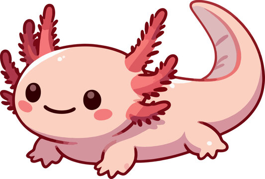 cute cartoon vector axolotl isolated on the white background 