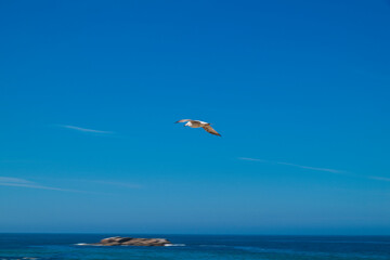photographs seascapes of Galicia marine nature