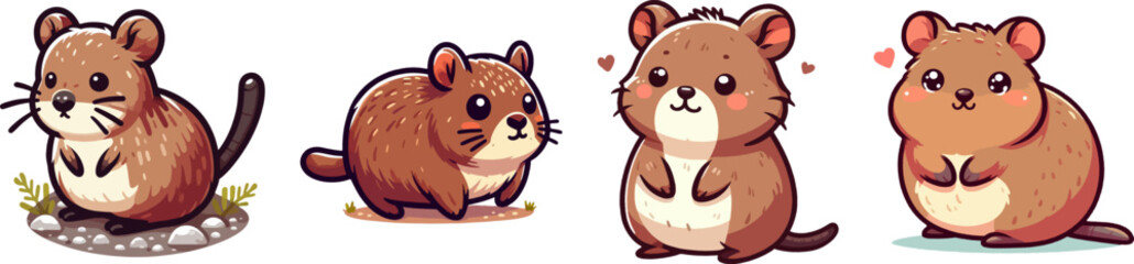 Obraz premium set of cute cartoon vector quokka isolated on the white background 