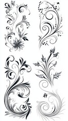 Obraz premium Elegant Black and White Floral Swirls Design Elements
