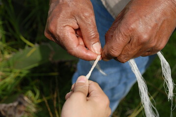 Child and adult hand helping each other.