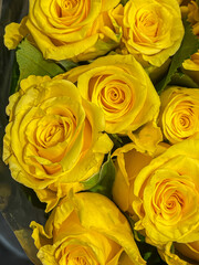 bright yellow spring roses bouquet arrangement, sales display. top down, full frame, vertical shot
