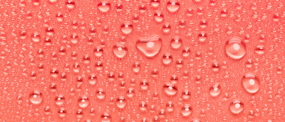 Macro view of water drops on coral background