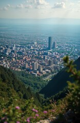 Panoramic view of Sofia city from Vitosha mountain. Urban landscape with buildings, skyscrapers. Rich green forests surround city. Sunny day with partly cloudy sky. Beautiful summer scenery in Europe.