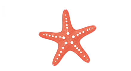 Stunning Closeup of a Vibrant Orange Starfish Against a Black Background A Detailed Look at the Starfishs Texture and Color