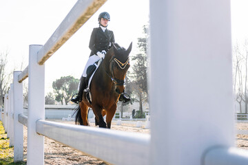 Equestrian Dressage Performance in Outdoor Arena