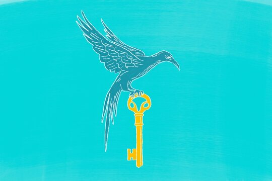 Bird Perched on a Key Over a Turquoise Background Design