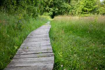 Obraz premium A Serene Wooden Pathway That Winds Through Lush Greenery, Perfect for a Relaxing Escape