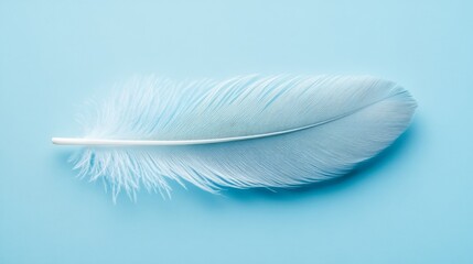 Obraz premium Single White Feather on a Light Blue Background