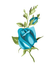 Blue Rose Blossom - Vector Illustration