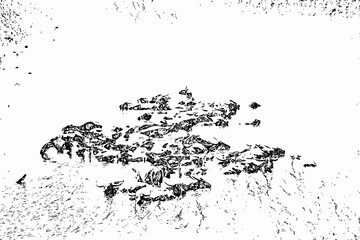 Abstract Rocky Formation - Black and White Line Art Illustration of Natural Textures for Wall Art & Digital Downloads