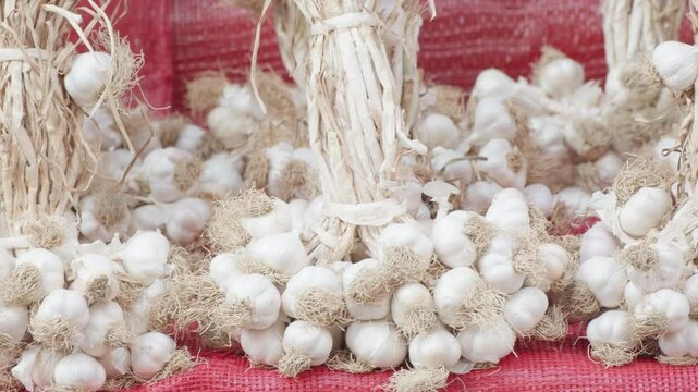 bunch of garlic on the market