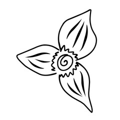 Obraz premium simple and elegant flower vector illustration with clean lines and minimalistic design