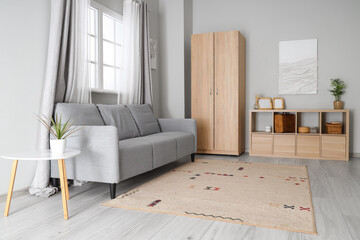 Interior of modern living room with grey sofa and wooden closet