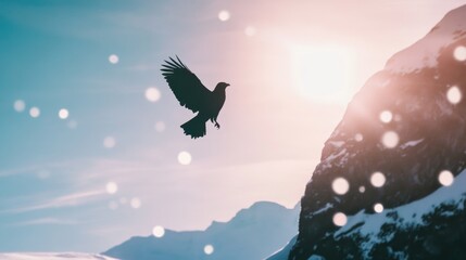 Fototapeta premium Silhouette of bird in flight against winter mountain landscape at sunrise