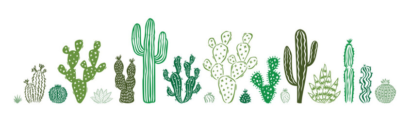 Hand drawn cactus and succulent doodle set. Collection of cute desert cactus sketches, Vector illustration.eps