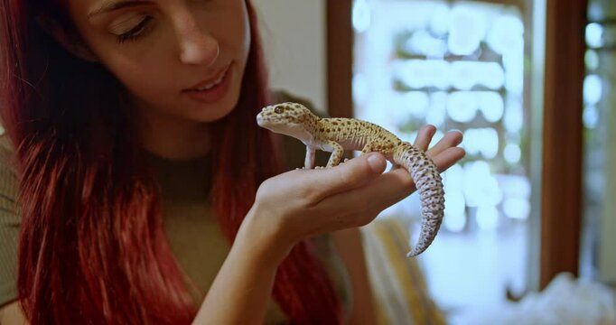 A woman gently holds her leopard gecko, showcasing the unique bond between pet and owner. The gecko sits calmly in her hand.