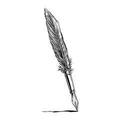antique feather quill pen line art hand drawn illustration