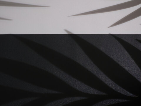 Black and White leather texture background with window plant leaf shadow. Backdrop shadows for personalize custom message