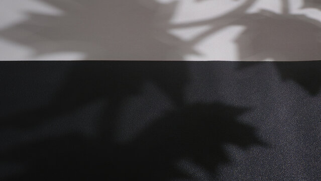 Black and White leather texture background with window plant leaf shadow. Backdrop shadows for personalize custom message