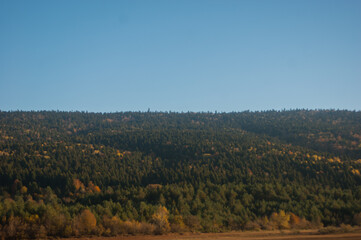 Naklejka premium SONY DSC