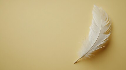 Obraz premium Single White Feather on Pale Yellow Background