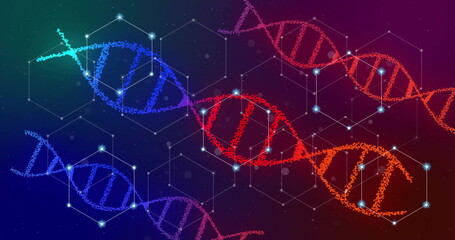 Image of glowing white networks over red and blue dna strands on dark background