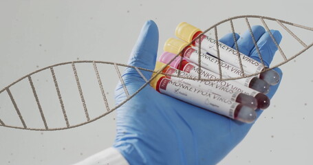 Image of dna strand spinning over hand with test tubes with blood on white background