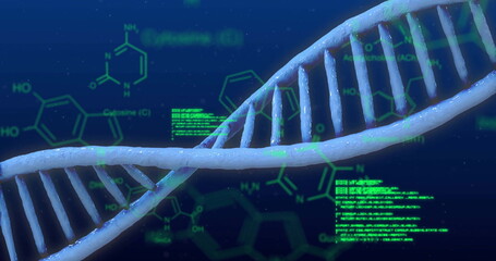 Image of dna and data processing over blue background