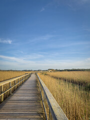 Obraz premium Barrinha of Esmoriz, situated between the municipalities of Espinho and Ovar, Portugal.