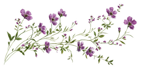 Vibrant purple wildflowers with delicate foliage isolated on transparent background