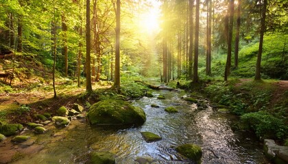 Obraz premium Stream through the forest in the bright light of the sun. Generated image