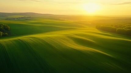 Obraz premium Golden Hour over Rolling Green Hills