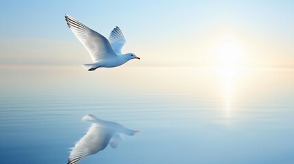 Fototapeta premium A serene white bird gliding over calm blue water during sunrise, reflecting beautifully in the stillness