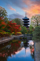 Toji Temple in Kyoto, Japan with beautiful garden and autumn foliage
