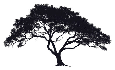 Large tree with broad, intricate branches isolated on transparent background