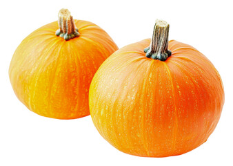 Obraz premium Freshly harvested pumpkins at a local farm isolated on transparent background