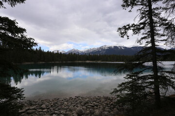 Fototapeta premium Pyramid Lake Jasper 