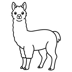 Cute Line Art Llama Silhouette Black Vector Illustration
