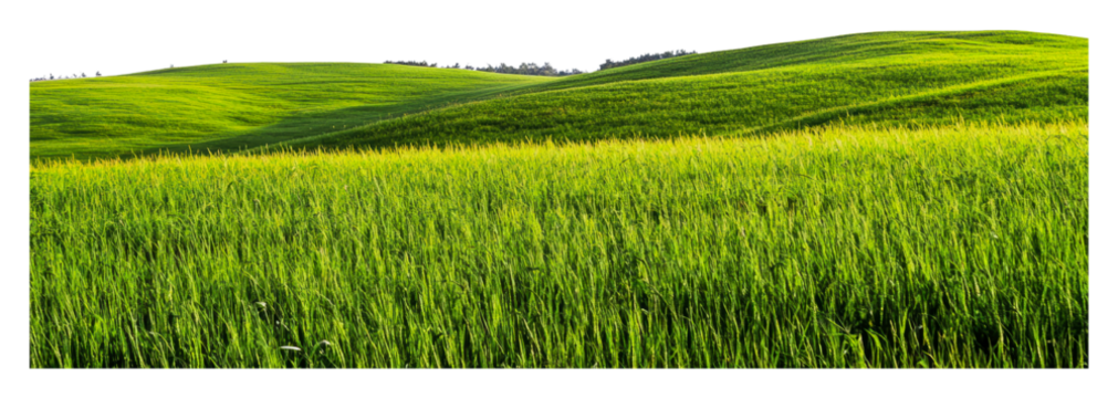 Lush green fields stretch across rolling hills isolated on transparent background