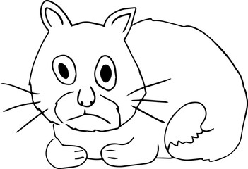 old cat sits in the form of a loaf tiredly and sadly looks at the camera