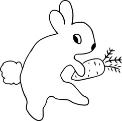 funny hare with a fluffy tail looks back sneaks and holds a carrot in his paws