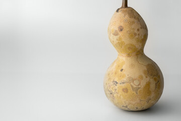 瓢箪 ひょうたん ヒョウタンの写真