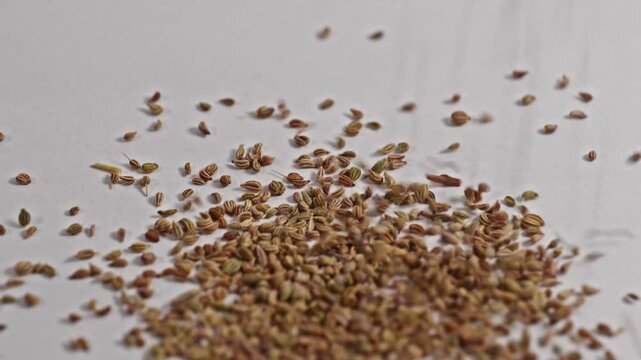 carom seeds or Ajwain falling on white surface and bouncing, 4k, stable shot
